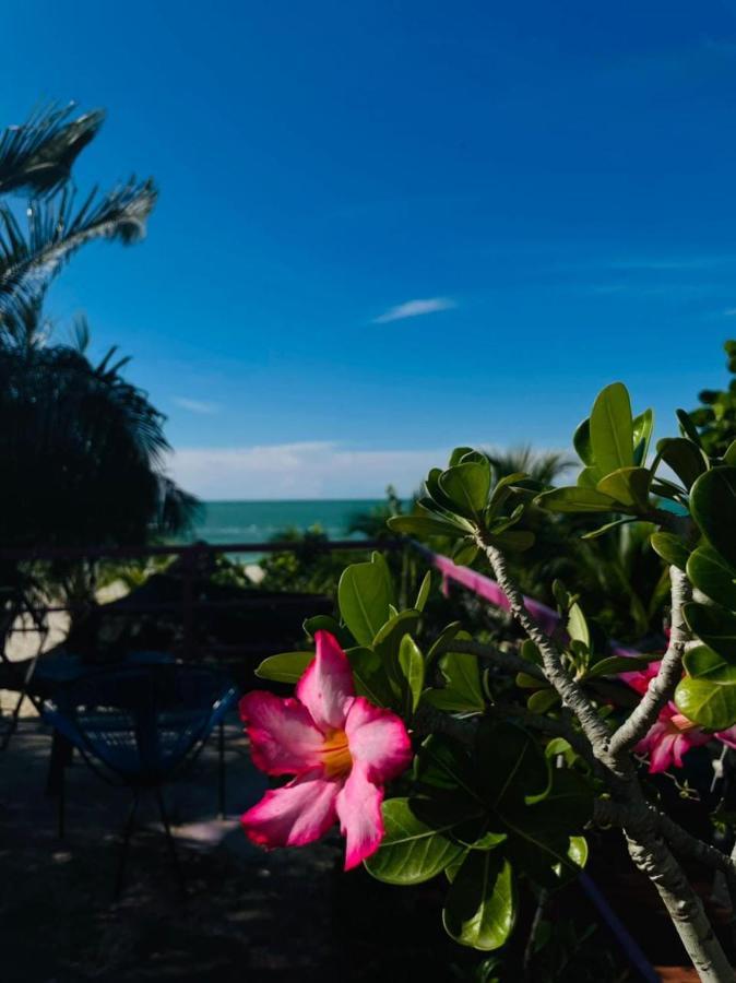 Hotel Gutierrez Celestun Εξωτερικό φωτογραφία